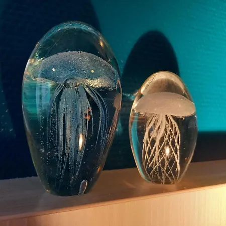 Zeevonk Studio's & Apartmán *