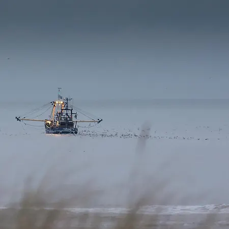 Zeevonk Studio's & Katwijk aan Zee
