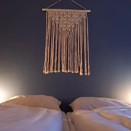 Zeevonk Studio's & *