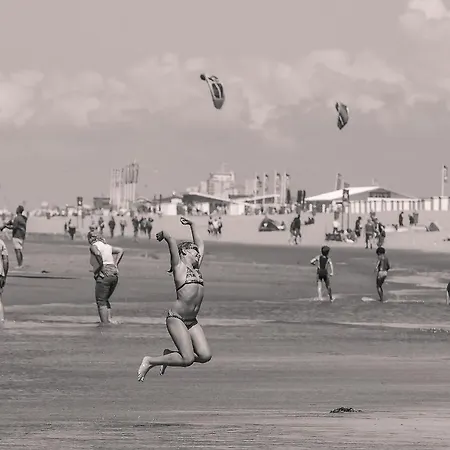 Zeevonk Studio's & 아파트 *