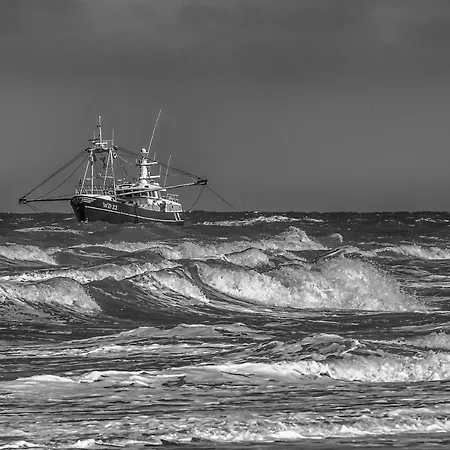 아파트 Zeevonk Studio's & 카트베이크안제이