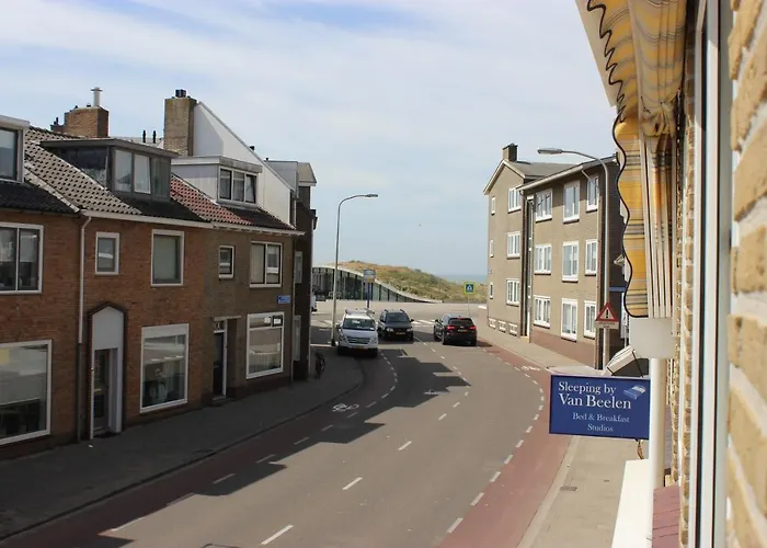 Zeevonk Studio's & *