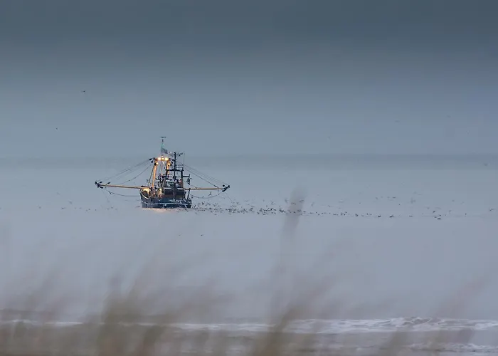 Zeevonk Studio's & Katwijk aan Zee