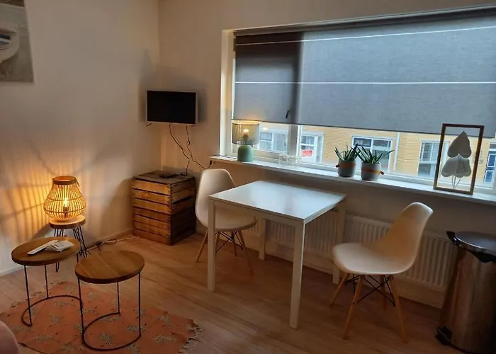 Zeevonk Studio's & * Katwijk aan Zee