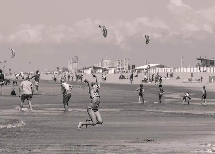 Zeevonk Studio's & Apartmán *