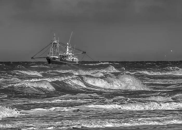 Apartment Zeevonk Studio's&appartementen Katwijk aan Zee