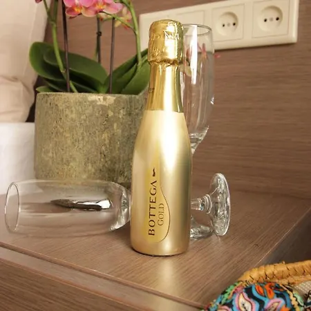 Zeevonk Studio's & Katwijk aan Zee